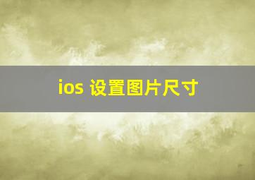 ios 设置图片尺寸